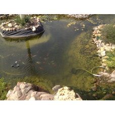 ПРОЕКТУВАННЯ І БУДІВНИЦТВО ВОДОЙМИЩ ДЛЯ ДЕКОРАТИВНОЇ РИБИ