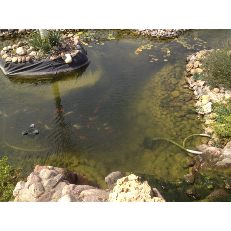 ПРОЕКТУВАННЯ І БУДІВНИЦТВО ВОДОЙМИЩ ДЛЯ ДЕКОРАТИВНОЇ РИБИ