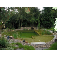 ПРОЕКТУВАННЯ І СТРИСТІСТЬ ЕКО-БАСЕЙНІВ, БІОПРУДІВ