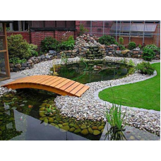 УКРЕПЛЕННЯ І ДЕКОРАЦІЯ БЕРЕГА ПРУДА, ПОСАДКА БЕРІГОВИХ РОЗТІлей