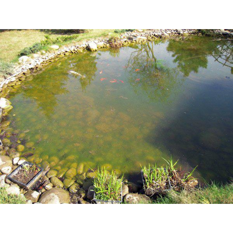 АНАЛІЗ ПАРАМЕТРОВ ВОДИ У ВОДОЄМІ