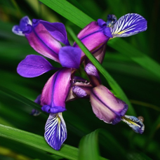 Техупаковка