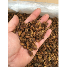 НАТУРАЛЬНИЙ КОРМ-ЛАКОМНІСТЬ ДЛЯ КОЇ ЛІЧИНКА ТУТОВОГО ШОВКОПРЯДА, висококалорійний плаваючий (пакет 500г)