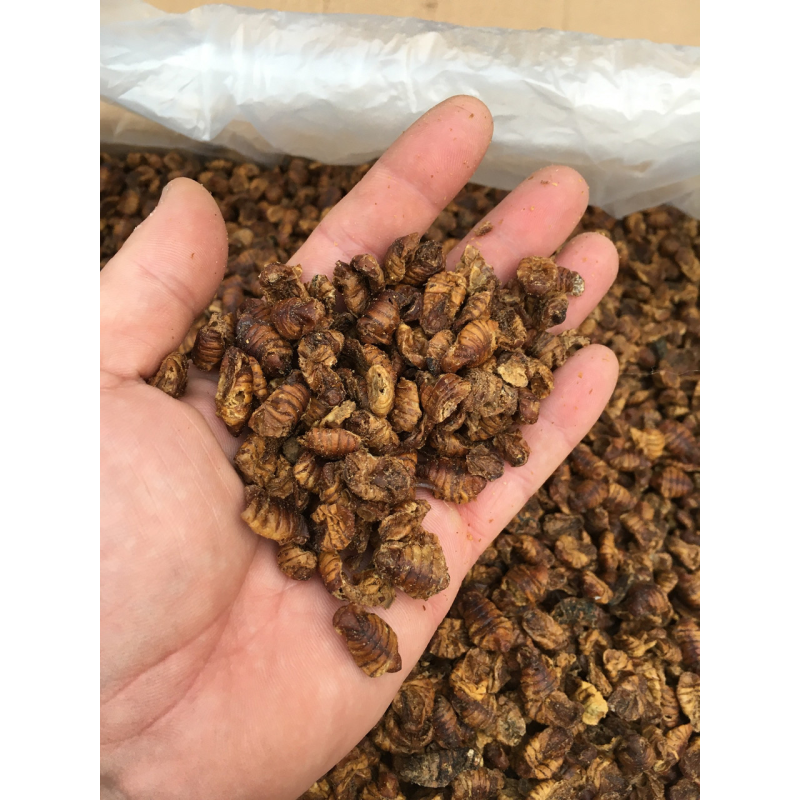 НАТУРАЛЬНИЙ КОРМ-ЛАКОМНІСТЬ ДЛЯ КОЇ ЛІЧИНКА ТУТОВОГО ШОВКОПРЯДА, висококалорійний плаваючий (пакет 500г) НАТУРАЛЬНИЙ КОРМ-ЛАКОМНІСТЬ ДЛЯ КОЇ ЛІЧИНКА ТУТОВОГО ШОВКОПРЯДА, висококалорійний плаваючий (пакет 500г)