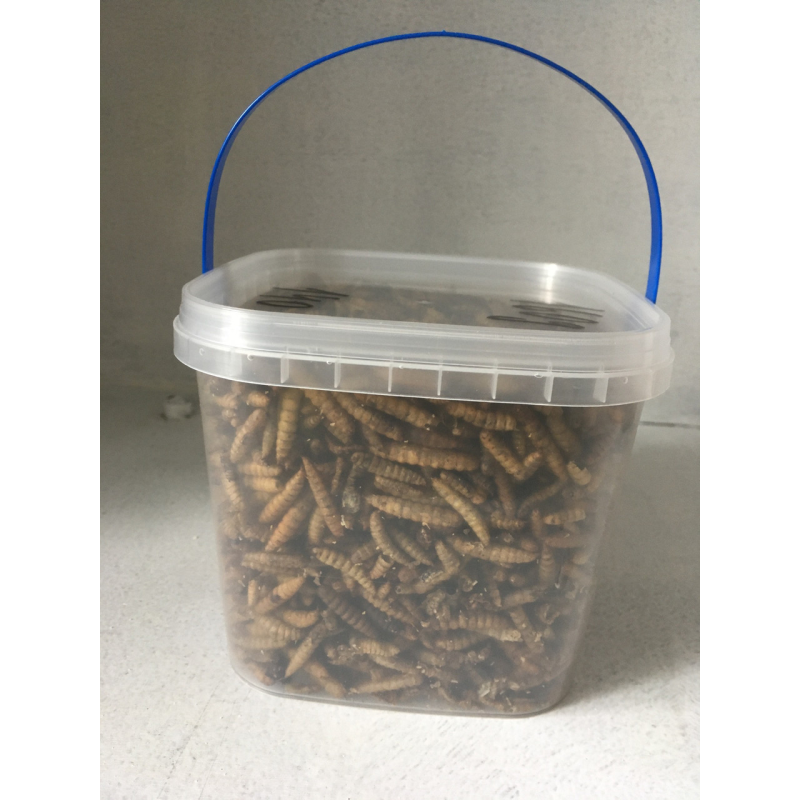 НАТУРАЛЬНИЙ КОРМ-ЛАКІМКА ДЛЯ КОІ ЛІЧІНКА ЧОРНОГО СОЛДАТИКА, высококалорійний плаваючий (відро1л/160г) НАТУРАЛЬНИЙ КОРМ-ЛАКІМКА ДЛЯ КОІ ЛІЧІНКА ЧОРНОГО СОЛДАТИКА, высококалорійний плаваючий (відро1л/160г)