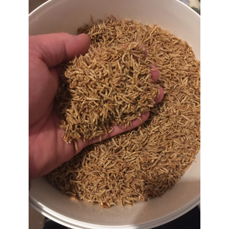 НАТУРАЛЬНИЙ КОРМ-ЛАКОМНІСТЬ ДЛЯ КОІ ОПАРИШ, висококалорійний плаваючий НАТУРАЛЬНИЙ КОРМ-ЛАКОМНІСТЬ ДЛЯ КОІ ОПАРИШ, висококалорійний плаваючий